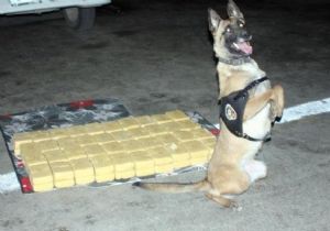 Emniyetten uyuşturucu operasyonu